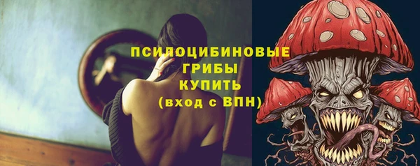 MDMA Верхний Тагил